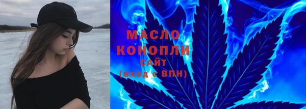гидра Волоколамск