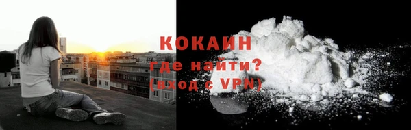 гидра Волоколамск