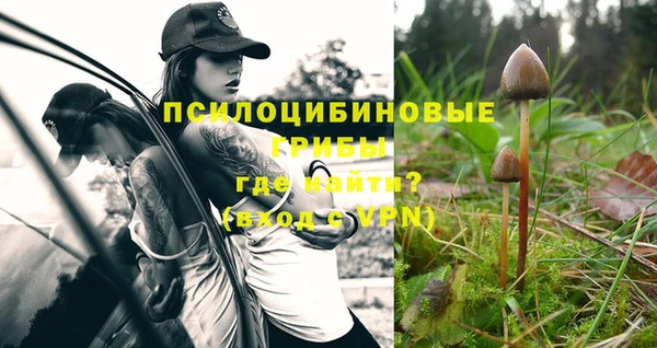 соль курить ск Волосово