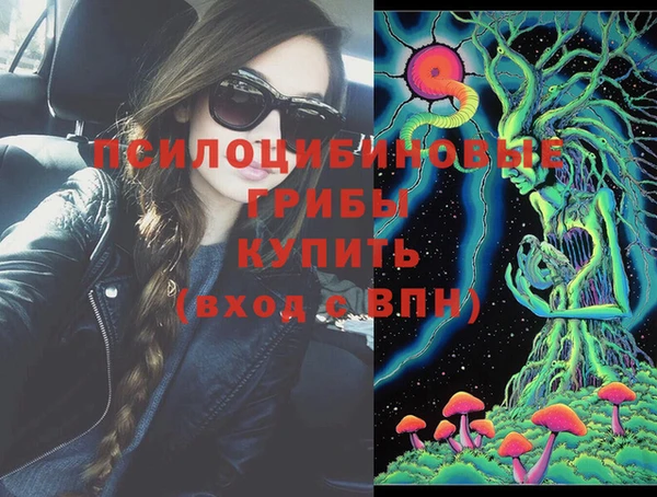 прущий лед Верея