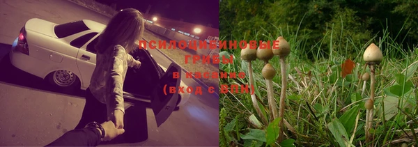 мдпв Верхний Тагил